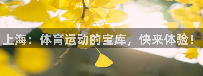 风速体育cba直播