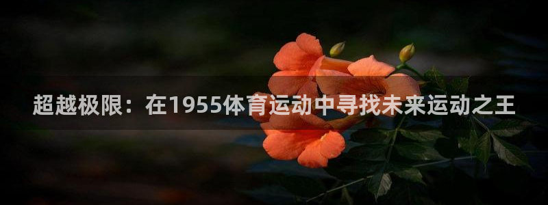 风速体育app下载官网最新版