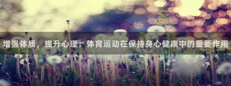 风速体育app下载安装最新版本