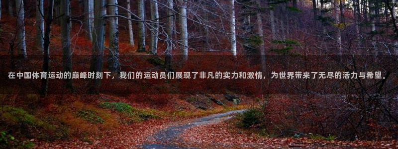 风速体育直播app