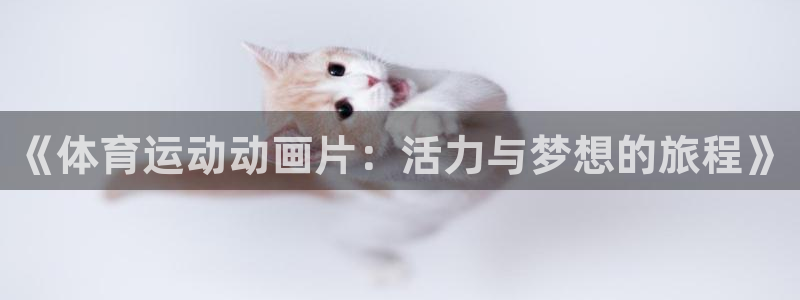 风速体育nba免费直播