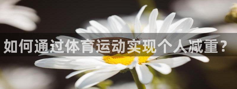 风速体育app