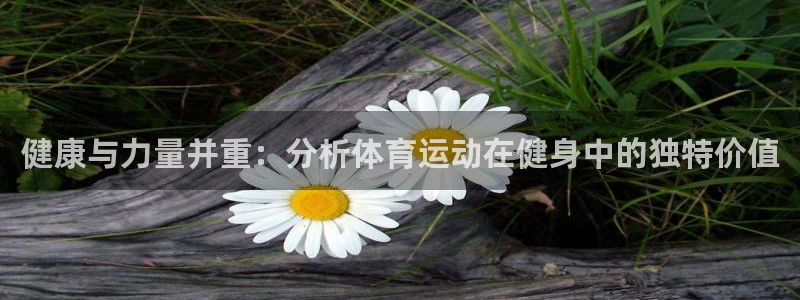 风速体育nba免费直播