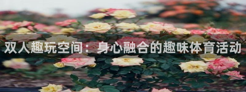 风速体育nba直播