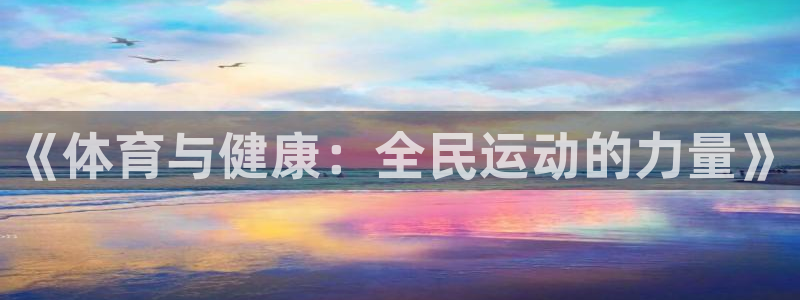 风速体育官网